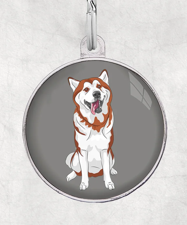 Husky bruin (bruine ogen)