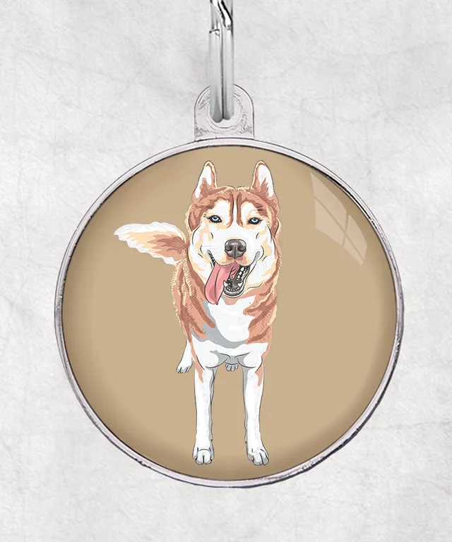 Husky bruin (blauwe ogen)