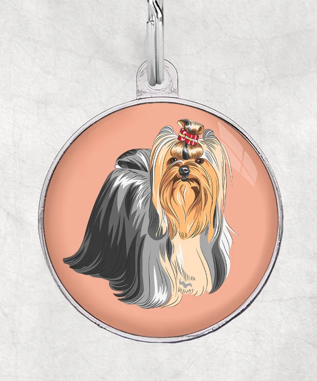 Yorkshire Terrier