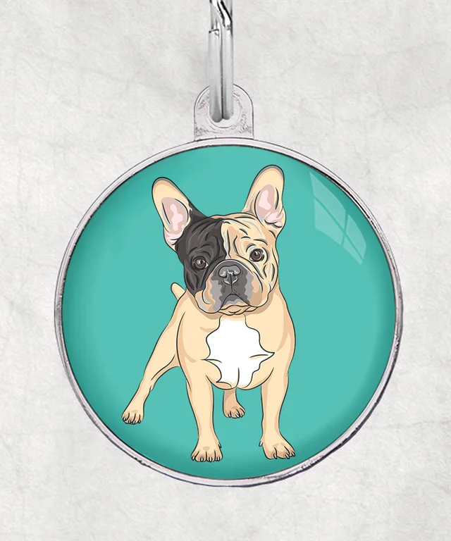 Franse bulldog bruin-zwart