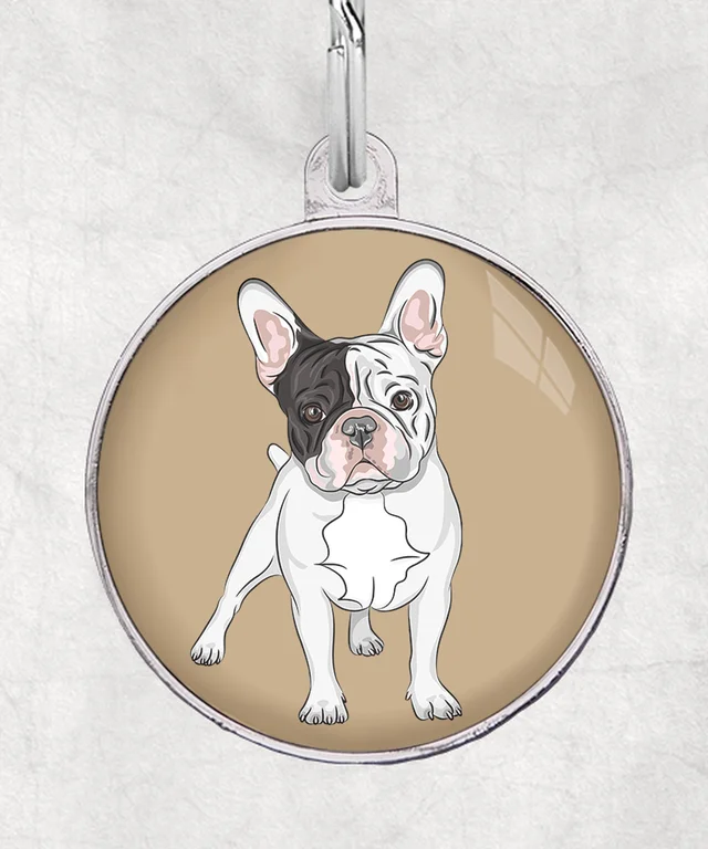 Franse bulldog bruin-zwart-wit