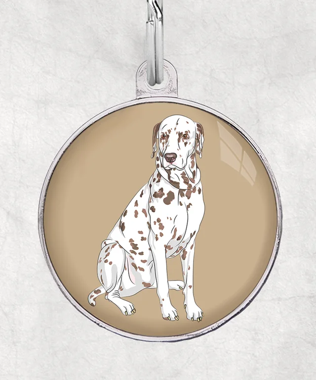 Dalmatier bruin