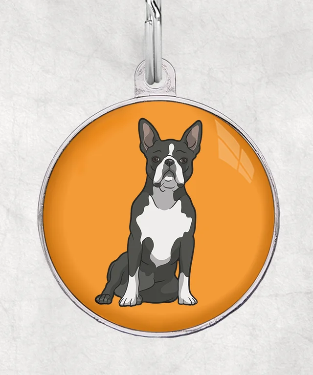 Boston Terriër
