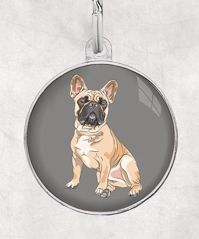Franse bulldog bruin