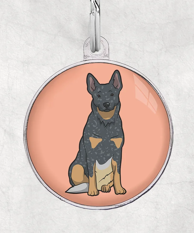 Cattle Dog
