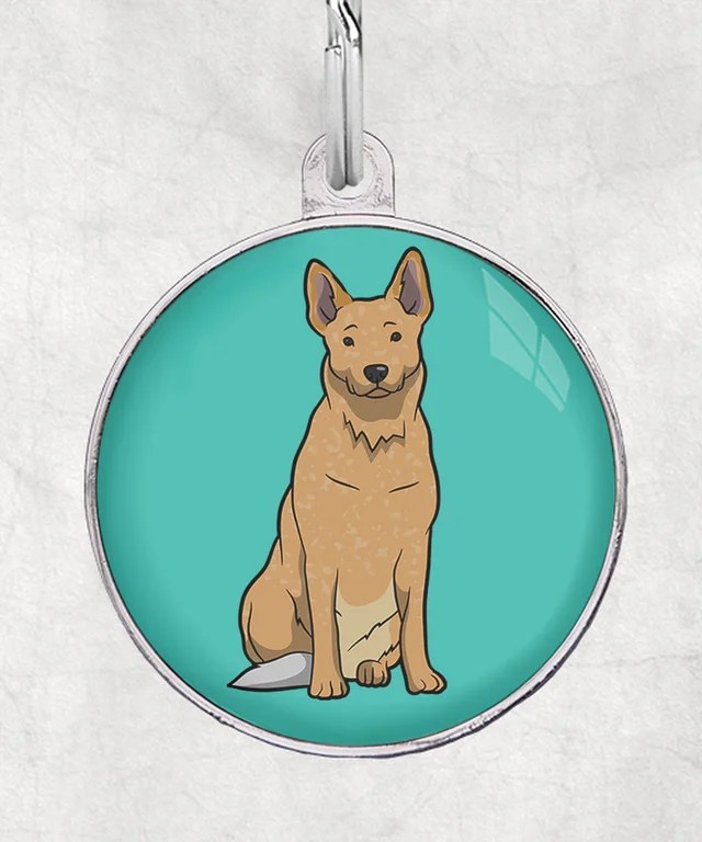 Cattle Dog bruin