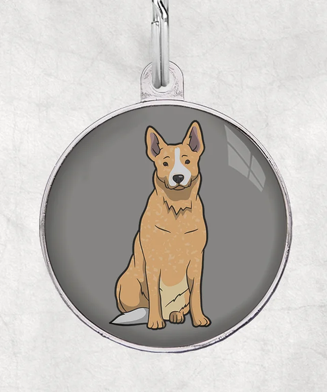 Cattle dog bruin wit