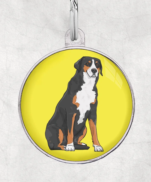 Appenzeller Sennenhond
