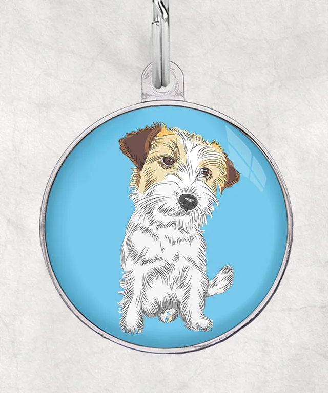 Jackrussel ruwharig