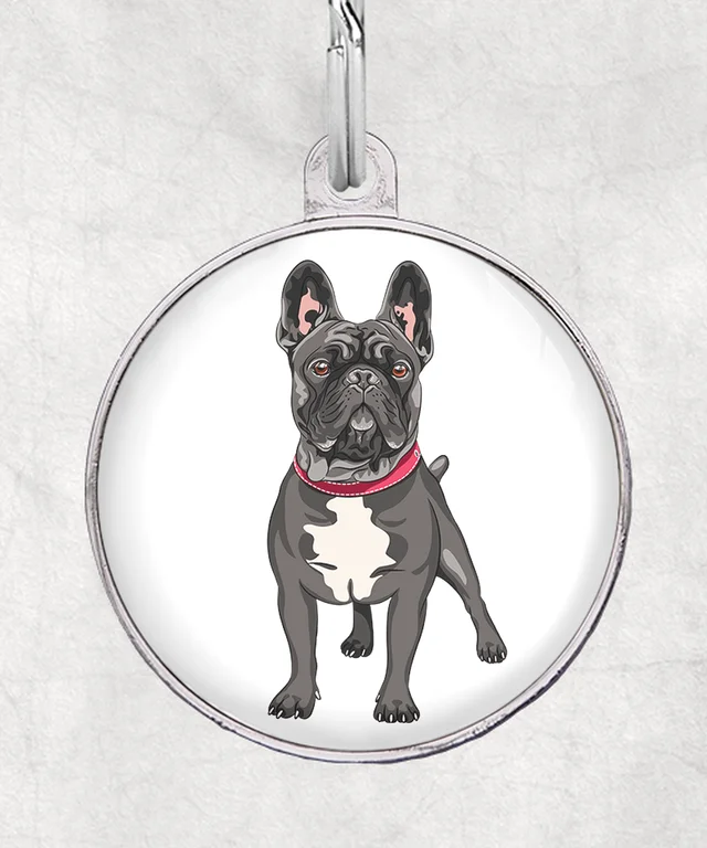 Franse bulldog