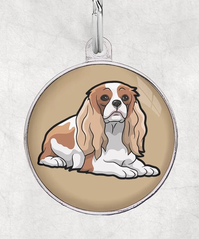 Cavalier bruin