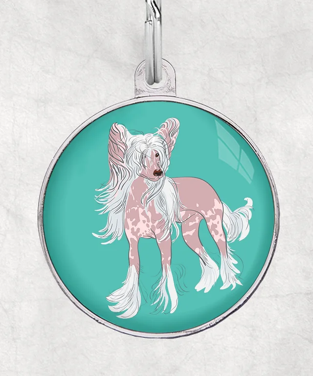 Chinese Crested