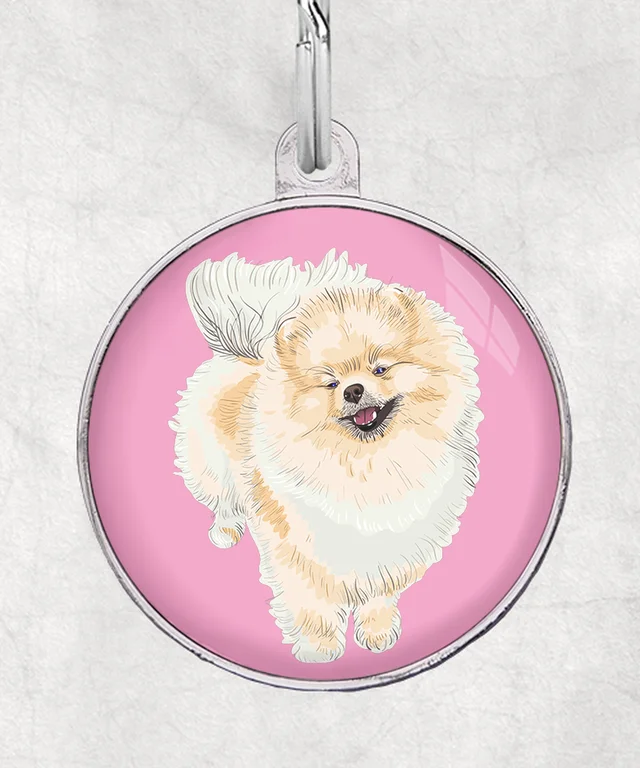 Pomeranian