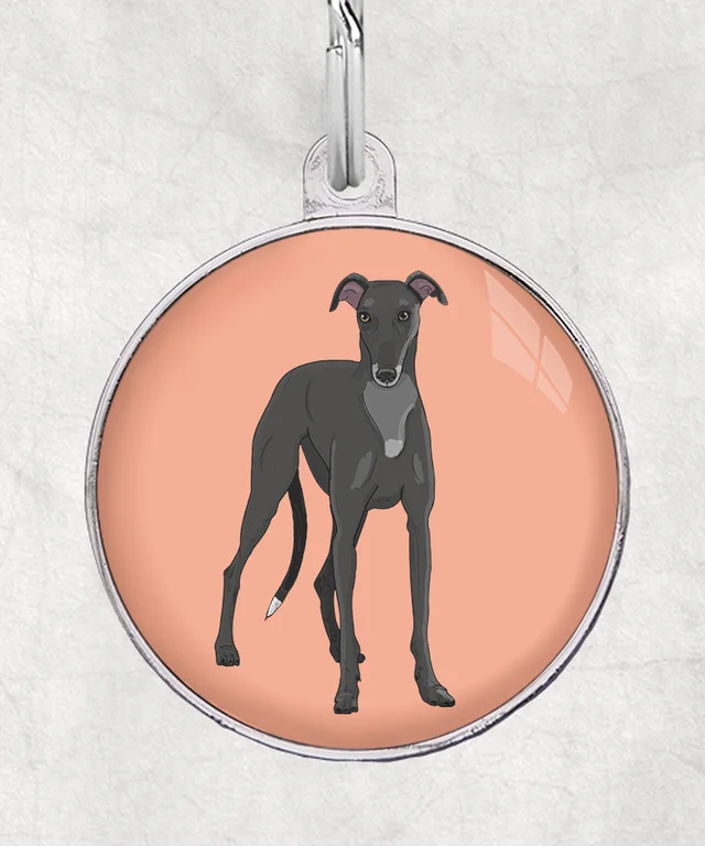 Galgo zwart