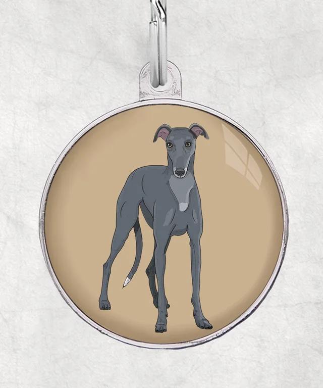 Galgo zwart