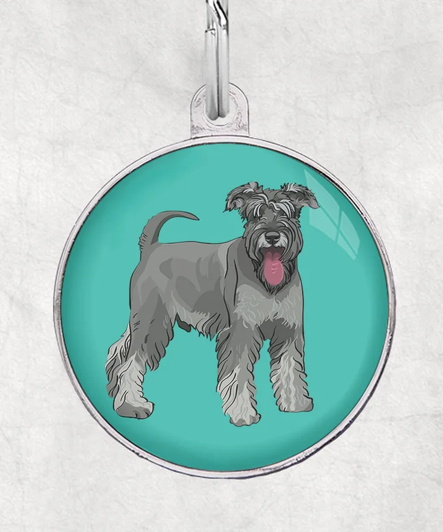 Schnauzer