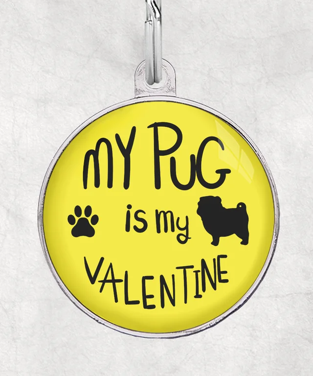 My pug is my valentine