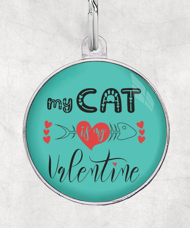 My cat is my valentine