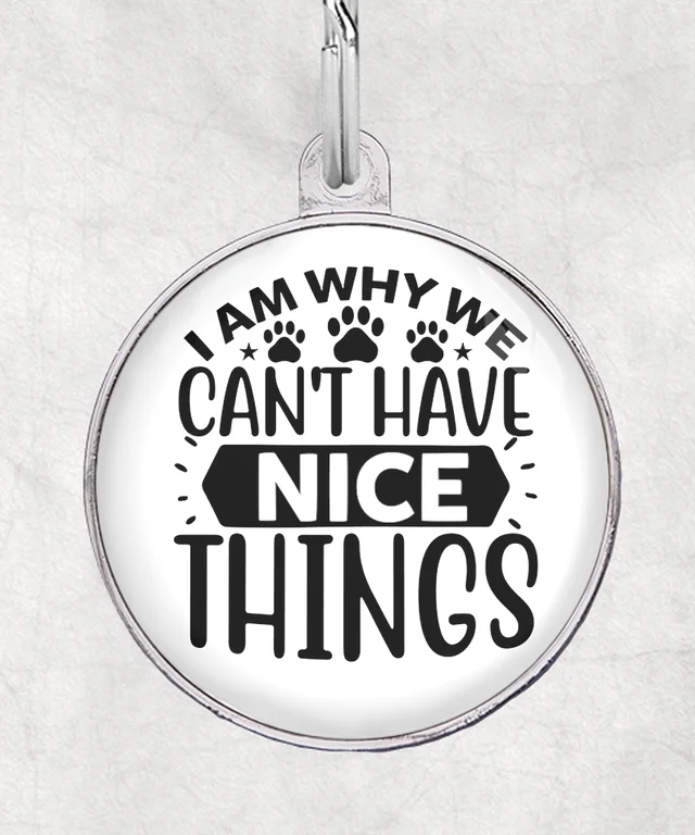 I am why we can’t have nice things