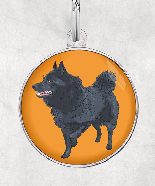 Schipperke