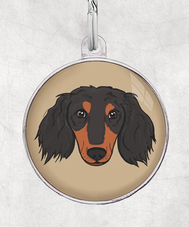 Langharige teckel black tan