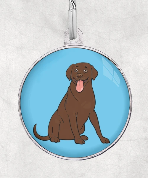 Labrador bruin