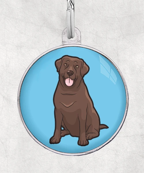 Labrador bruin