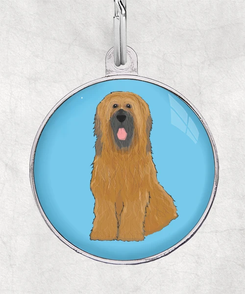 Briard