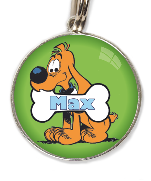 bollie-met-naam-huisdierpenning-groen