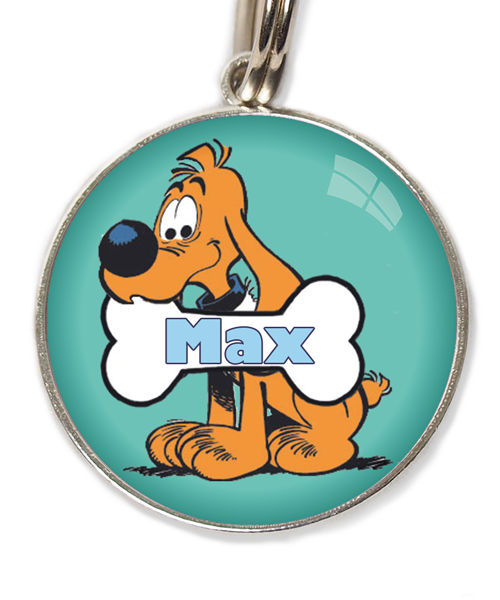 bollie-met-naam-huisdierpenning-turquoise