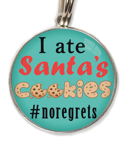 i-ate-santas-cookies-kerst-huisdierpenning-turquoise