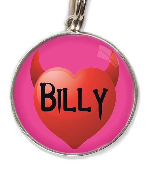 little-devil-heart-met-naam-huisdierpenning-fushia
