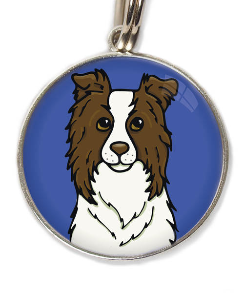bordercollie-chocolade-met-huisdierpenning-blauw