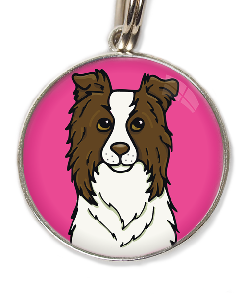 bordercollie-chocolade-met-huisdierpenning-fushia