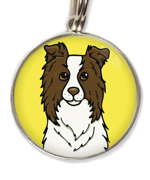 bordercollie-chocolade-met-huisdierpenning-geel