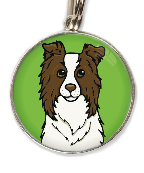 bordercollie-chocolade-met-huisdierpenning-groen