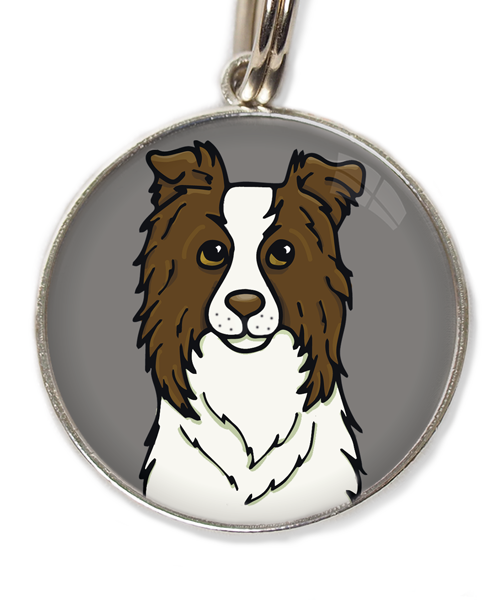 bordercollie-chocolade-met-huisdierpenning-lichtgrijs