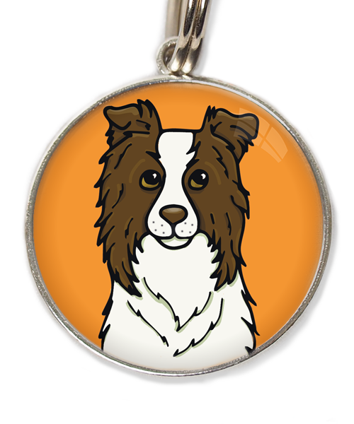 bordercollie-chocolade-met-huisdierpenning-oranje