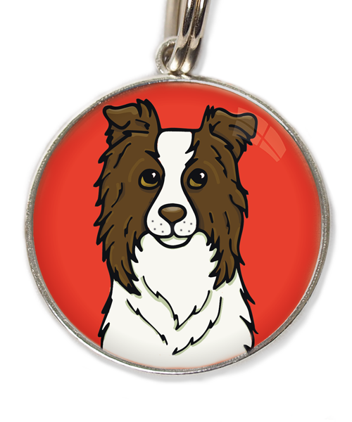 bordercollie-chocolade-met-huisdierpenning-rood