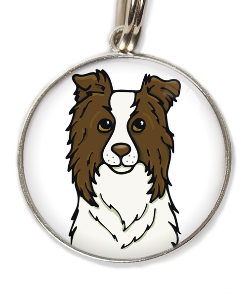 bordercollie-chocolade-met-huisdierpenning-wit