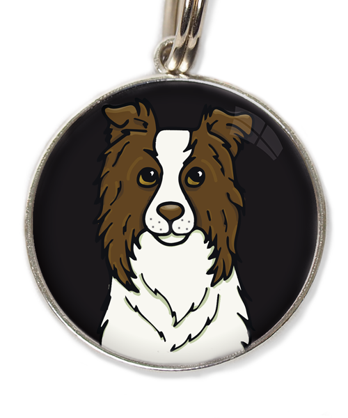 bordercollie-chocolade-met-huisdierpenning-zwart