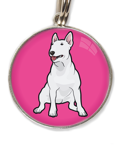 bull-terrier-wit-huisdierpenning-fushia