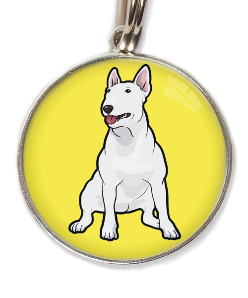 bull-terrier-wit-huisdierpenning-geel