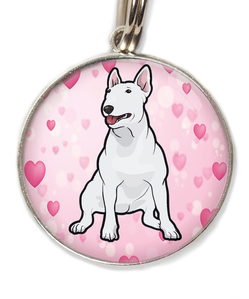 bull-terrier-wit-huisdierpenning-hartjes