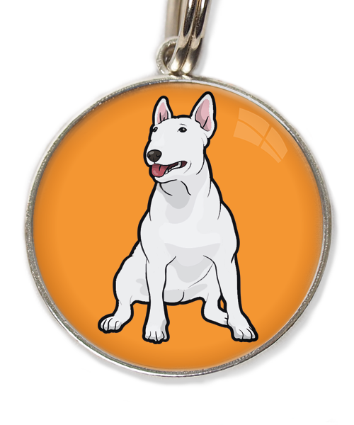 bull-terrier-wit-huisdierpenning-oranje