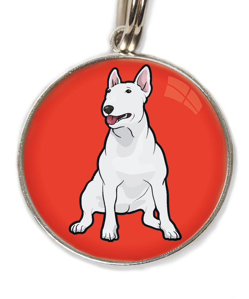 bull-terrier-wit-huisdierpenning-rood