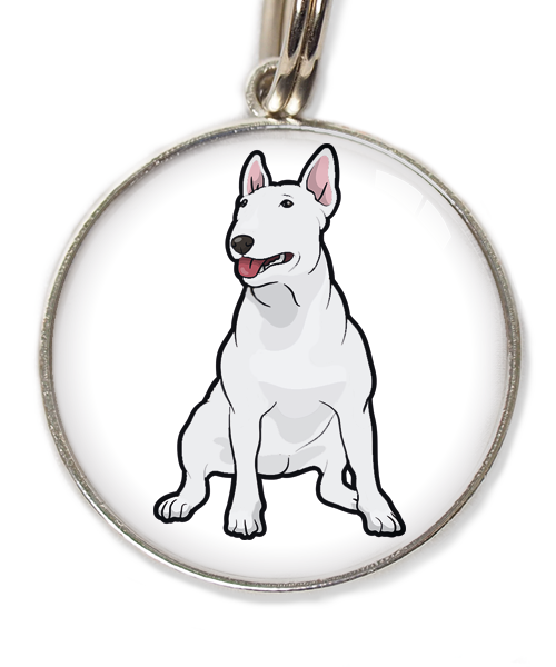 bull-terrier-wit-huisdierpenning-wit