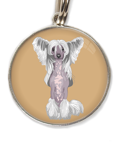 chinese-crested-wit-huisdierpenning-beige