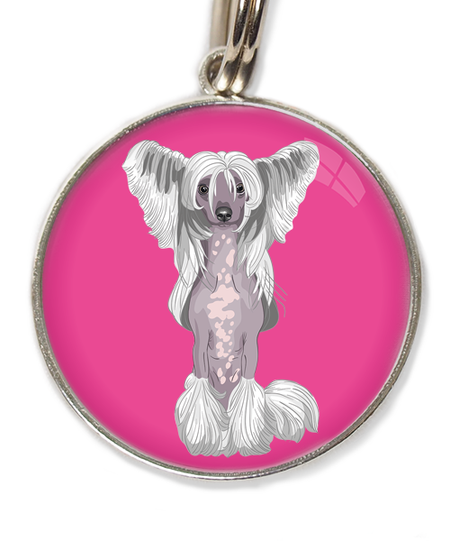 chinese-crested-wit-huisdierpenning-fushia