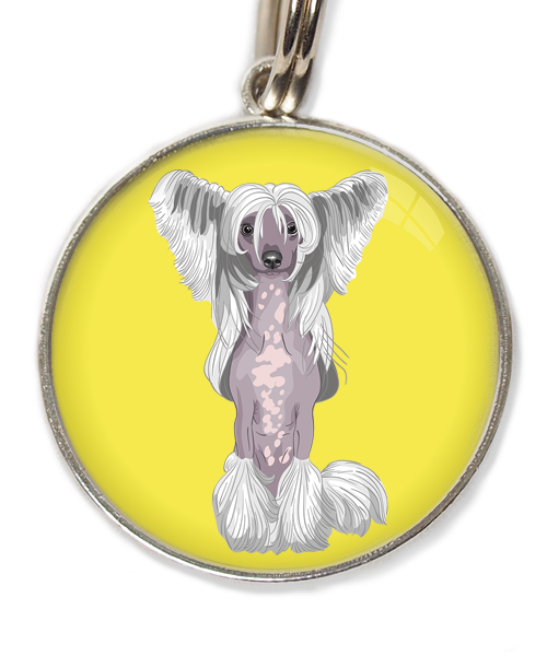 chinese-crested-wit-huisdierpenning-geel